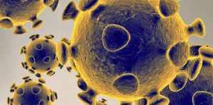 Coronavirus. outbreak